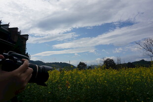 镜头下的田园美景