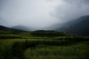 云雾笼罩下的山间绿野