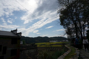 乡村田园风光美景