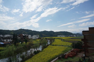 田园乡村美丽风光景色