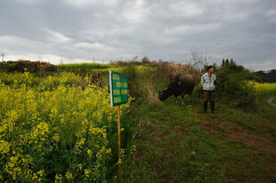 田野中的徒步者与指示牌