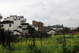 乡村田园与传统民居景观