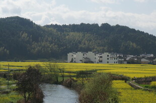 乡村春日田园河畔风光