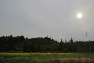 黄昏田野上的明亮太阳