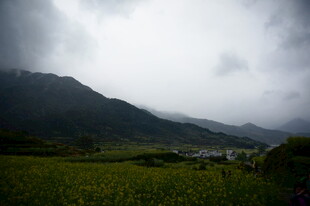 云雾笼罩下的山间绿野