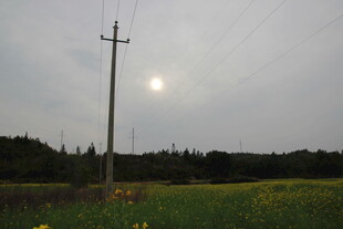 田野中的电线杆与逆光景象