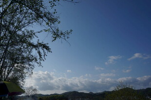 蓝天绿树间的自然景致