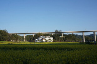 田野上的高架桥景观