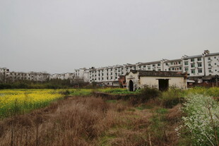 田野旁的楼房与老旧小屋