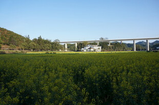 田野上的桥梁风景