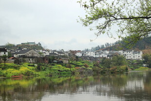 江南水乡村落湖畔美景