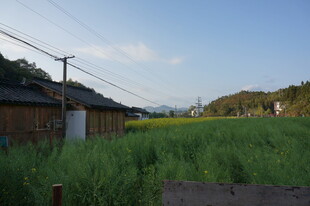 乡村田野边的古朴民居