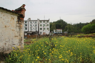 乡村田野旁的破旧与繁华