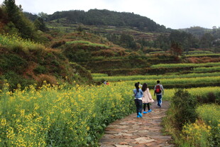 山间漫步赏油菜花海