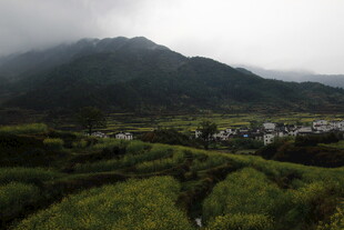 山间梯田云雾缭绕美景