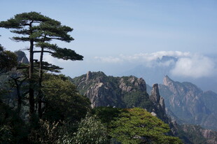 黄山奇松与壮丽山峦