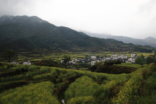 山间梯田村落美景