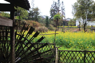 田园风光中的栅栏与花田