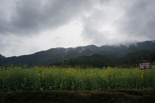 阴云下的田野与远山