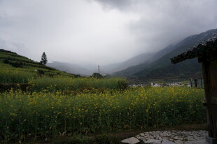 山间田野的朦胧美景