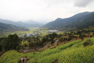 山间绿野春色迷人