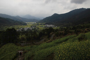 山间绿野中的静谧村落
