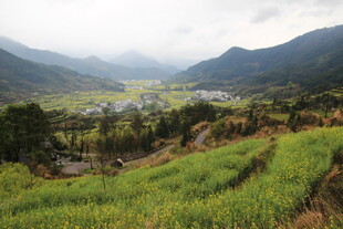 山间绿野中的宁静村落