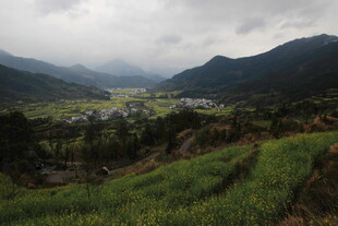 山间绿野中的宁静村落