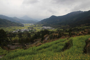 山间梯田美景
