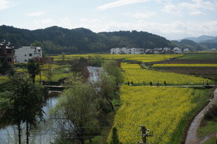 乡村春日田园美景