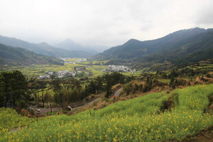 山间田园美景 绿意盎然