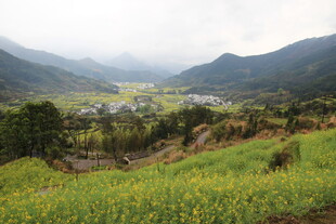 山间田园美景