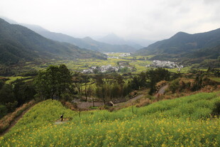 山间绿野中的宁静村落