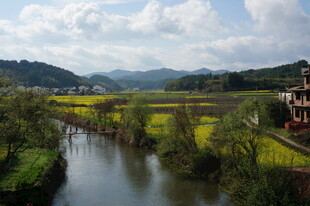 乡村河畔春日田园风光