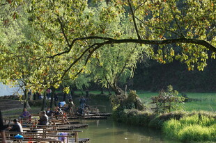 河畔绿荫下的休闲时光