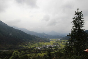 山间云绕的翠绿山谷美景