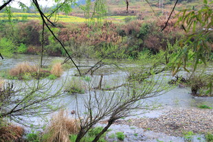 乡村河畔景致
