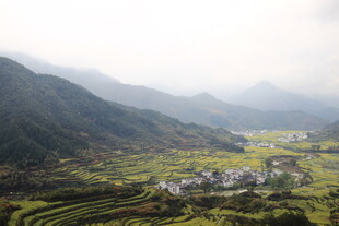 山间梯田村落美景