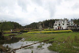 乡村田园风光景致