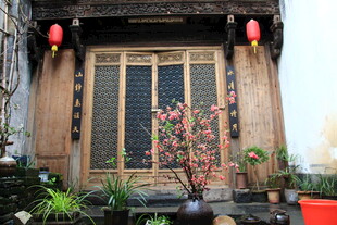 古宅门前的花卉绿植景致