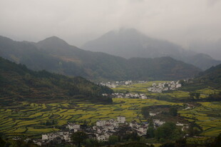 山间村落油菜花田美景