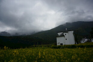 田野中的白屋与远山云雾