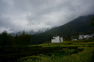 云雾缭绕下的山间田园风光