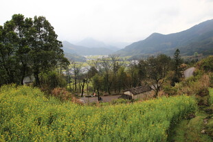 山间田园风光美景