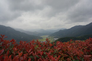 山间红叶与云雾美景