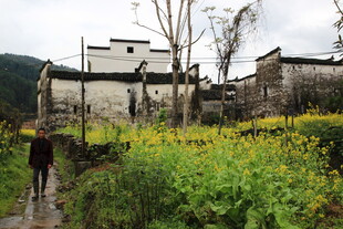 乡村小径旁的古朴民居