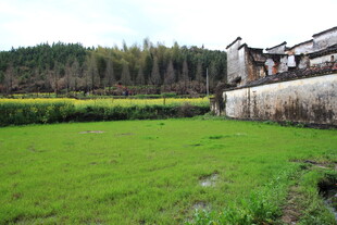 乡村田园古建筑风景