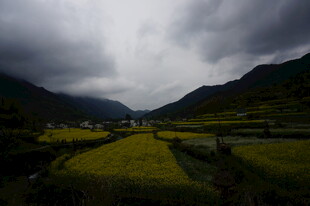 山间田野 阴云下的田园风光