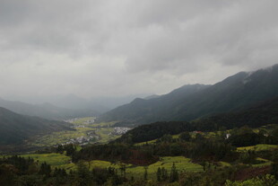 山间绿野 云雾缭绕之景