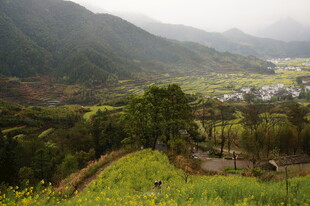 山间田园风光美景